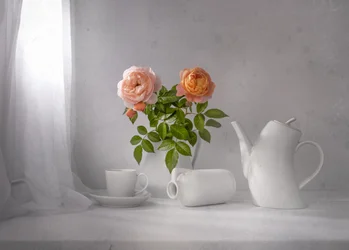 Thé Morning Rose