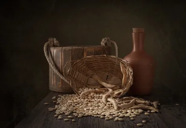 Récolte rustique de haricots