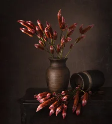 Nature morte florale rustique