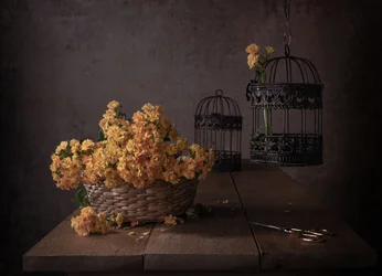 Fleurs jaunes rustiques