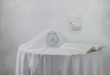 Livre-horloge « Serene » « Birdcage »