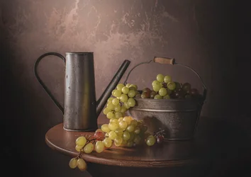 Vendanges à l