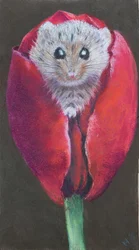 Souris dans une tulipe, 2022