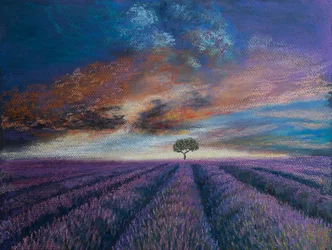 Champs de lavande de Normandie