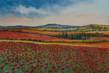 Champs de coquelicots, Flandres
