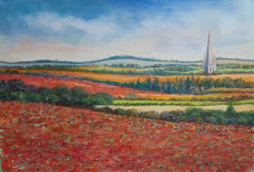 Champs de coquelicots, 2021