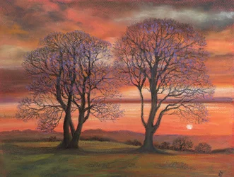 Lumière du soleil à travers les arbres