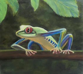 Grenouille arboricole
