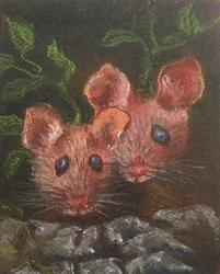 Deux petites souris