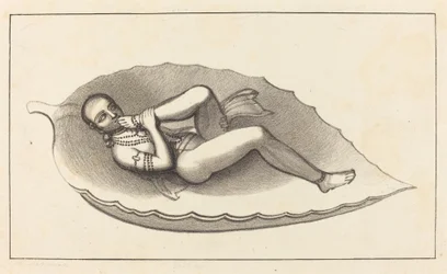 Vishnu, agent créateur de Brahma, attitude, l