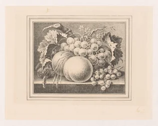 Composition avec des fruits dans un cadre