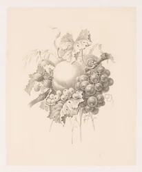 Composition de fruits