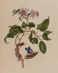 Illustration de 