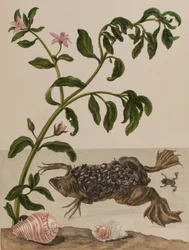 Illustration de 