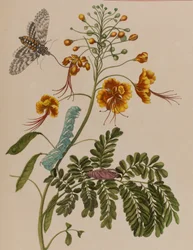 Illustration de 