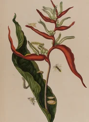 Illustration de 