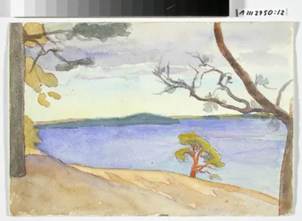 Paysage côtier