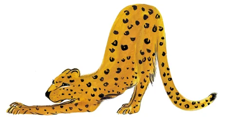 Big Cat Stretch, 2020 (aquarelle sur papier)