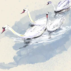 Hyde Park Swans, 2021 (aquarelle sur papier)