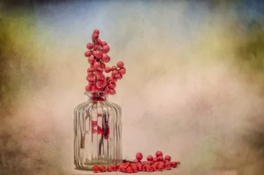 Nature morte rustique aux baies