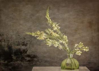 Nature morte florale rustique