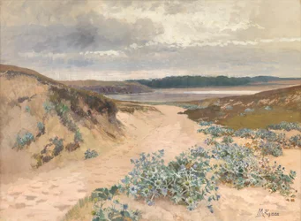 Paysage de dunes en Bretagne