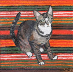 Tabby à rayures