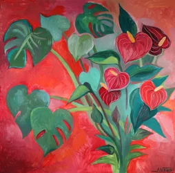 Fleurs tropicales de Monstera et d