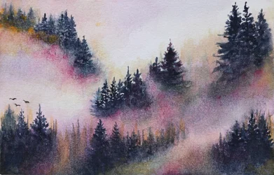 Forêt brumeuse colorée