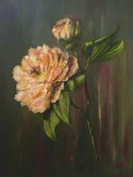 Élégante pivoine florale