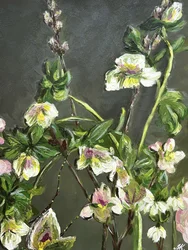 Fleurs d