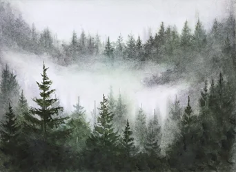 Sérénité de la forêt brumeuse