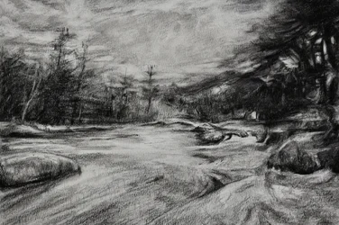 Charbon de bois de Moody River