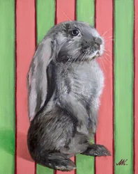 Lapin à oreilles tombantes espiègle