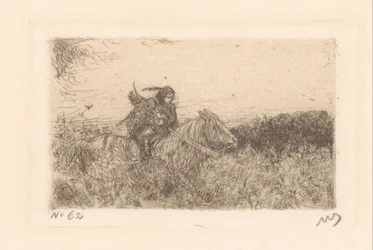 Cavalier