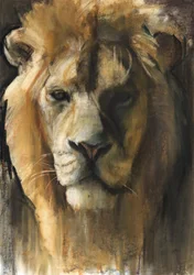Lion asiatique, 2015, (pigment, pastel et conté sur papier)