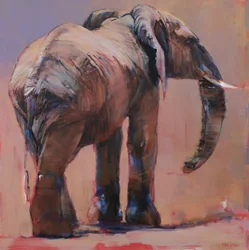 Derrière, Loisaba