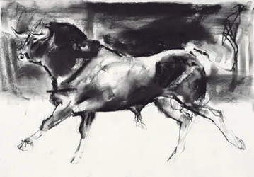 Taureau noir