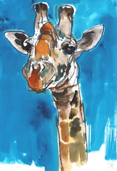 Girafe sous ciel bleu, 2018