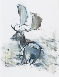 Cerf dans l
