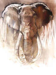 Éléphant mâle, 2018
