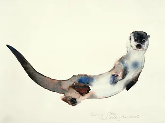 Loutre Curieuse, 2003