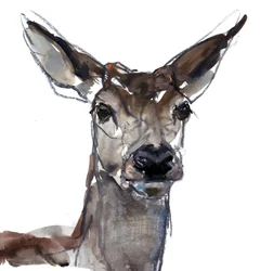 Cerf (étude), 2023