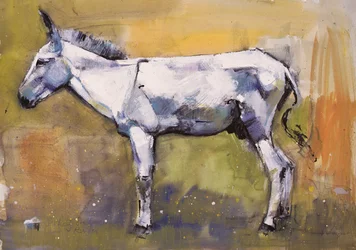 Étalon âne, Ronda, 1998