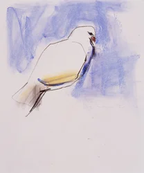 Colombe, Trasierra, 1998