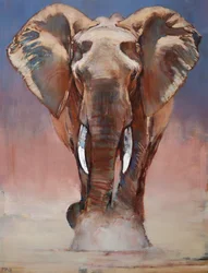 Bain de poussière, Loisaba, 2018