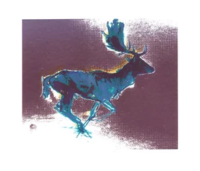 Daim mâle (ombre bleu-jaune), 2015