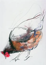 Poule nourrissante, Trasierra, 1998