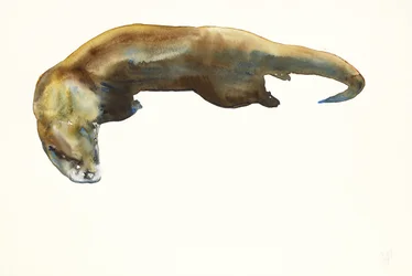 Or, aquarelle sur papier (2014)