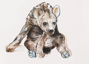 Petit hyène (tête baissée), 2019